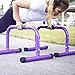 BodyRock Mini Dip Bar Station: Challenger Mini Parallette Bars for Dips & Calisthenics - Parallel Bars to Build Core Strength, Balance & Tricep, Arm & Shoulder Muscles - Fitness Equipment for Home Gym