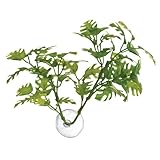 Zoo Med Laboratories AZMBP25 Betta Plant Window Leaf