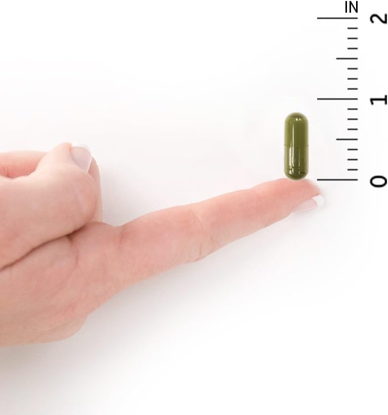 Garden of Life Vitamin D, Vitamin Code Raw D3, Vitamin D 2,000 IU, Raw Whole Food Vitamin D Supplements with Chlorella, Fruit, Veggies & Probiotics for Bone & Immune Health, 120 Vegetarian Capsules: Health & Personal Care