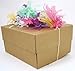ClassyStylez 100-piece Premium Quality Tissue Gift Wrapping Paper Crafts, Packing with 10 White Tissue Paper, 20 x 30 Inches, Assorted Colors