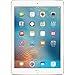 New Apple iPad 9.7