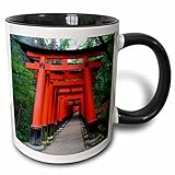 3dRose Japan, Kyoto Torii Gates In The