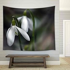 Closeup of White Snowdrops Taken from The Side - Fabric Wall Tapestry Home Decor - 51x60 inches