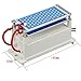 ATWFS Ceramic Ozone Generator 110V 10g/H Double Ceramic Plate Air Purifier Ozonizer