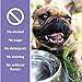 SynergyLabs Dental Fresh Advanced Plaque and Tartar-17 Oz