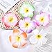 FRCOLOR 12 Pieces 3.5 Inch Hawaiian Plumeria Flower Hair Clips Foam Women Ladies Hair Accessories for Beach Party Wedding Event Decoration