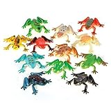 RIN 2 Dozen (24) Poison Dart Frogs - Animal 2
