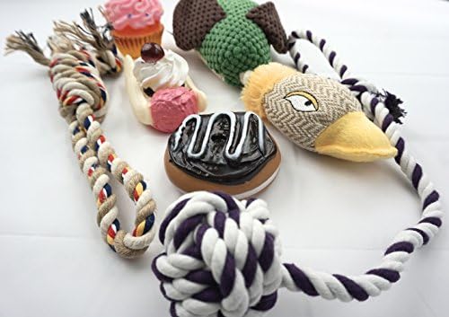 Complete Playtime Doggie Package starter kit toys for puppies, toys for small dogs, training toys, fetching, gnawing, tossing, play, squeaking, fun, small dogs, food toys, durable material