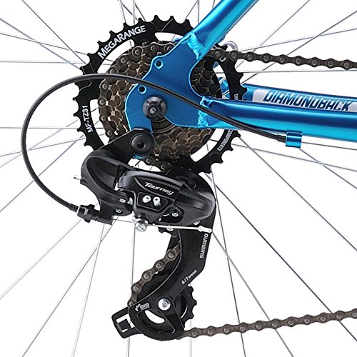 diamondback bicycles women's serene classic frame comfort bike