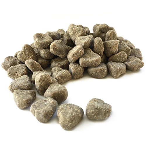Peppy Pooch Salmon and Coconut Soft Treats for Dogs. Great for Skin and Coat. 16oz. Bag.