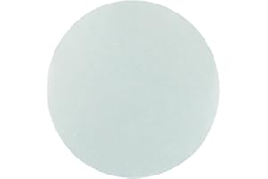 Omicron 170047X Nylon Membrane Filters, 0.45 μm, 47 mm (Pack of 100)