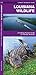 Louisiana Wildlife: A Folding Pocket Guide to Familiar Animals (Nature Observation North America)