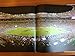 The Rugby World Cup: The Definitive Photographic History