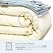 Dozeology Cooling Weighted Blanket Premium - 160GSM Luxury Cotton Cover Included - 15 lbs, 60X80, Queen/Full Size - Best for Adult Men and Women - (Sky White)