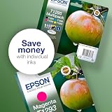 Epson T1295 Apple Multipack DURABrite Ultra Ink Cartridges 4 Colours Cyan view 4