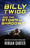 Billy Twigg and the Storm of Shadows (The Billy Twigg Saga Book 1)