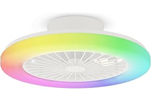 BKZO Modern LED Ceiling Light with Fan, RGB Ceiling Fan Lights, Ceiling Fan with lamp, 24 Ventilation speeds, infinitely dimmable Light for Living Room, Bedroom, Office, 3000-5500 K (White &19" & RGB)