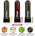Aromatherapy Nasal Inhaler by Flare - Enhance your Experience - Refreshing Cooling Sensation - Made in the USA with Essential Oils & Menthol - Variety Pack