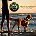 LED Dog Collar, USB Rechargeable Flashing Light Up Collar for Safety at Night, Adjustable Water Resistant Bright Lighted Collar for Small Medium Large Dogs
