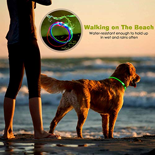LED Dog Collar, USB Rechargeable Flashing Light Up Collar for Safety at Night, Adjustable Water Resistant Bright Lighted Collar for Small Medium Large Dogs - Thumbnail 7