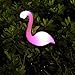 2 Pcs Flamingo Ground Spike Lights Solar Powered Garden Light Waterproof Park Decorative Lawn Lamp Pathway Outdoor Yard Walkway (Solar Flamingo)