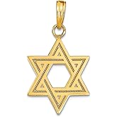JewelryWeb 14k Yellow Gold Solid Satin Religious Judaica Star of David Charm 16x15mm Pendant Necklace for Women
