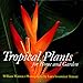 Tropical Plants for Home and Garden by