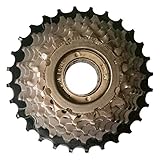 Electric bike's feewheel