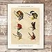 DREAM BIG PRINTABLES Vintage Fly Fishing Decor (Set of 4) - Unframed - 8x10 | Great Gift for Fisherman - Reproductions of Vintage Fishing Lure Art Prints - Rustic Decor