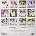 Just Shih Tzu Puppies 2019 Wall Calendar (Dog Breed Calendar)