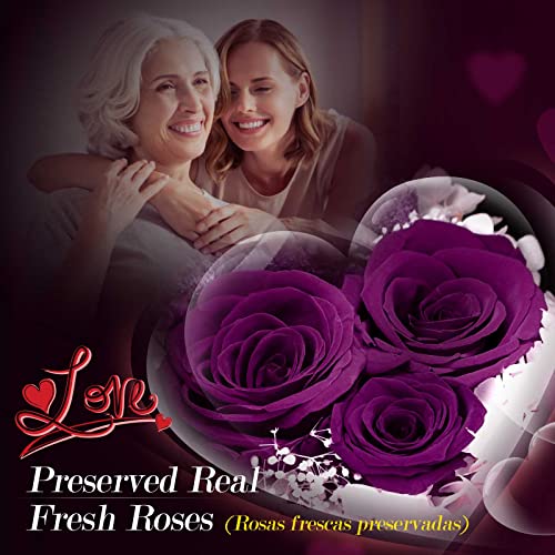 Mother's Day Gift for Women Birthday, Eternal Rose Flowers Natural with 925 Sterling Silver Necklace for Mother Girlfriend Wife Mom, Mother's Day Gift, Birthday Anniversary, Mother's Day Gifts