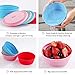 Ecoart Silicone Expandable Collapsible Bowl for Travel Camping Hiking (Gray(L))