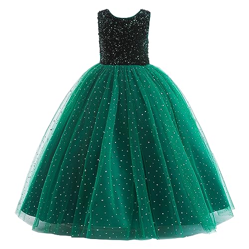 Glamulice Christmas Flower Girls Sparkle Tulle Dress Vintage
