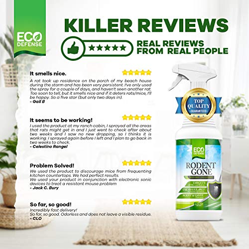 Eco Defense Mice Repellent Natural Peppermint Oil Formula to Repel
