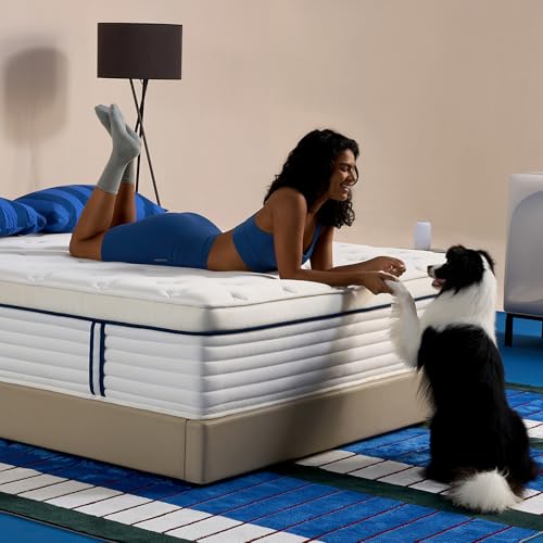 REJUSLEEP 12 Inch Hybrid Mattress