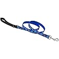 Lupinepet Originals 3/4" Dapper Dog 6-Foot Padded Handle Leash for Medium and Larger Dogs