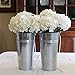 Rustic Metal 13 Inch Galvanized Flower Vase - Set of 2 - French Bucket - Farmhouse Style - Perfect for Fresh and Dried Floral Arrangements for Home and Weddings (Silver)