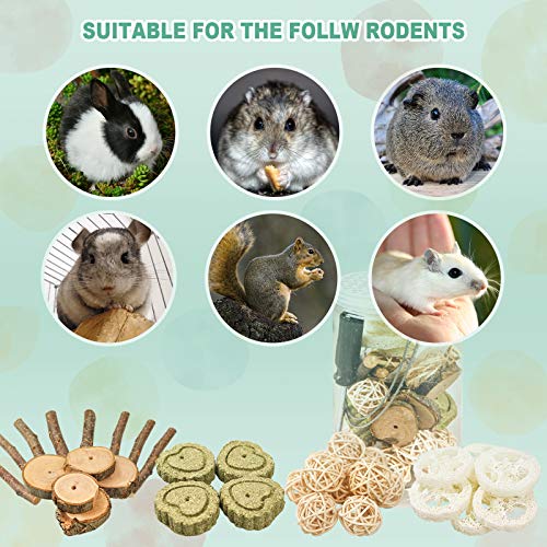 Roundler DIY Rabbit Hamster Chew Toys, Pet Snacks Molar Toys, Make a Unique Chew Toy for Small Animals, Suitable for Rabbits, Chinchillas, Guinea Pigs, Hamsters, Chewing/Playing (Style-1)