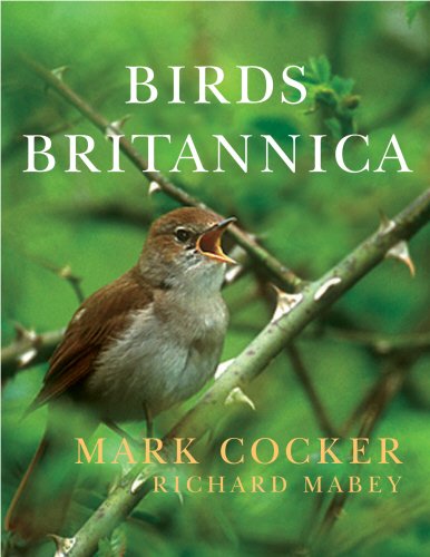 #65 — Birds Britannica