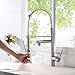 VAPSINT Best Modern High Arch Commercial Lead-Free Stainless Steel Brushed Nickel Kitchen Faucet, Single Handle Kitchen Sink Faucet(with Two Outlets)
