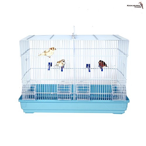 rob harvey bird cages