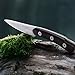 TUO Cutlery Hacker Series Small Outdoor Fixed Blade Camping Knives Paring Knife 3.5 Japanese High Carbon Stainless Steel with Premium Ebony wood Full Tang Handle