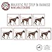 Majestic Pet Dog Harness-Best No Pull Harness for All Dogs-Sizes Large, Medium, Small-Adjustable and Heavy Duty No-Pull Leash & Harness & Walking Collar-Combo [HARNESS-25x40 & LEASH-1x6ft]-Black