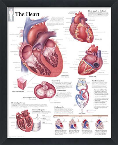 Valentine's STEM Activities: 3D DIY Heart Model for Kids!
