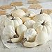Factory Direct Craft Set of 12 Assorted Size Harvest White Faux Gourds and Pumpkins for Halloween, Fall and Thanksgiving Decorating