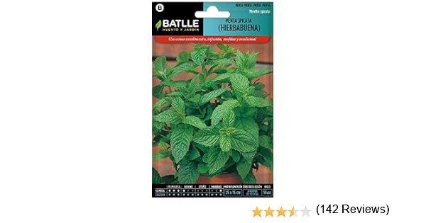 Semillas Aromáticas - Menta Spicata (Hierbabuena) - Batlle: Amazon ...