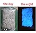 StillCool 100pcs Glow in The Dark Garden Pebbles for Walkways Plants Fish Tank Decor Luminous Stones (Sky Blue)