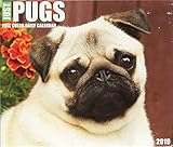 Just Pugs 2019 Box Calendar (Dog Breed Calendar) by 