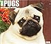 Just Pugs 2019 Box Calendar (Dog Breed Calendar) by 