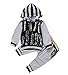 Toddler Infant Baby Boys Girls Full Feathers Long Sleeve Hoodie Tops Sweatsuit Pants Outfit Set (18-24 Months)